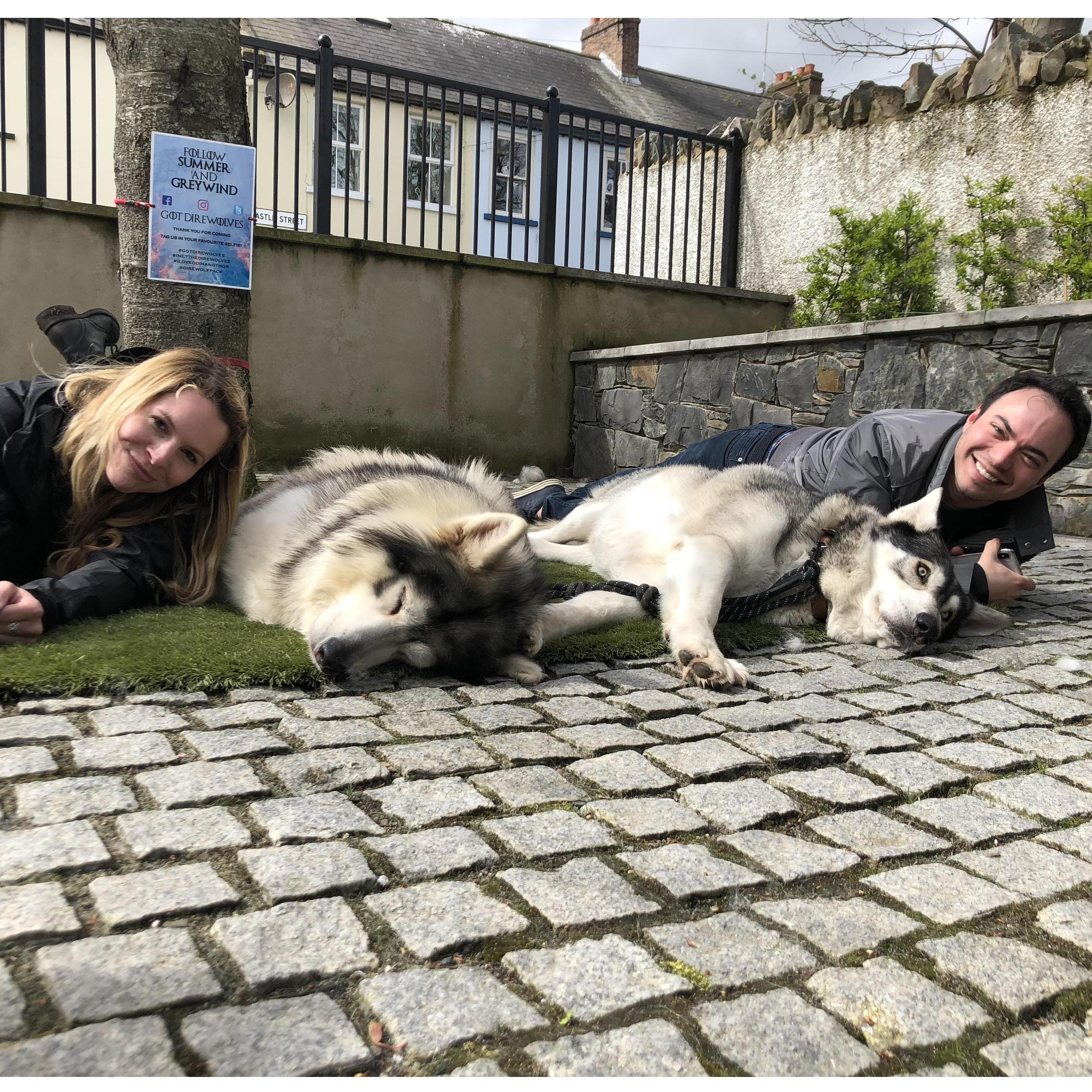 Hanging with Direwolves from Game of Thrones, Northern Ireland