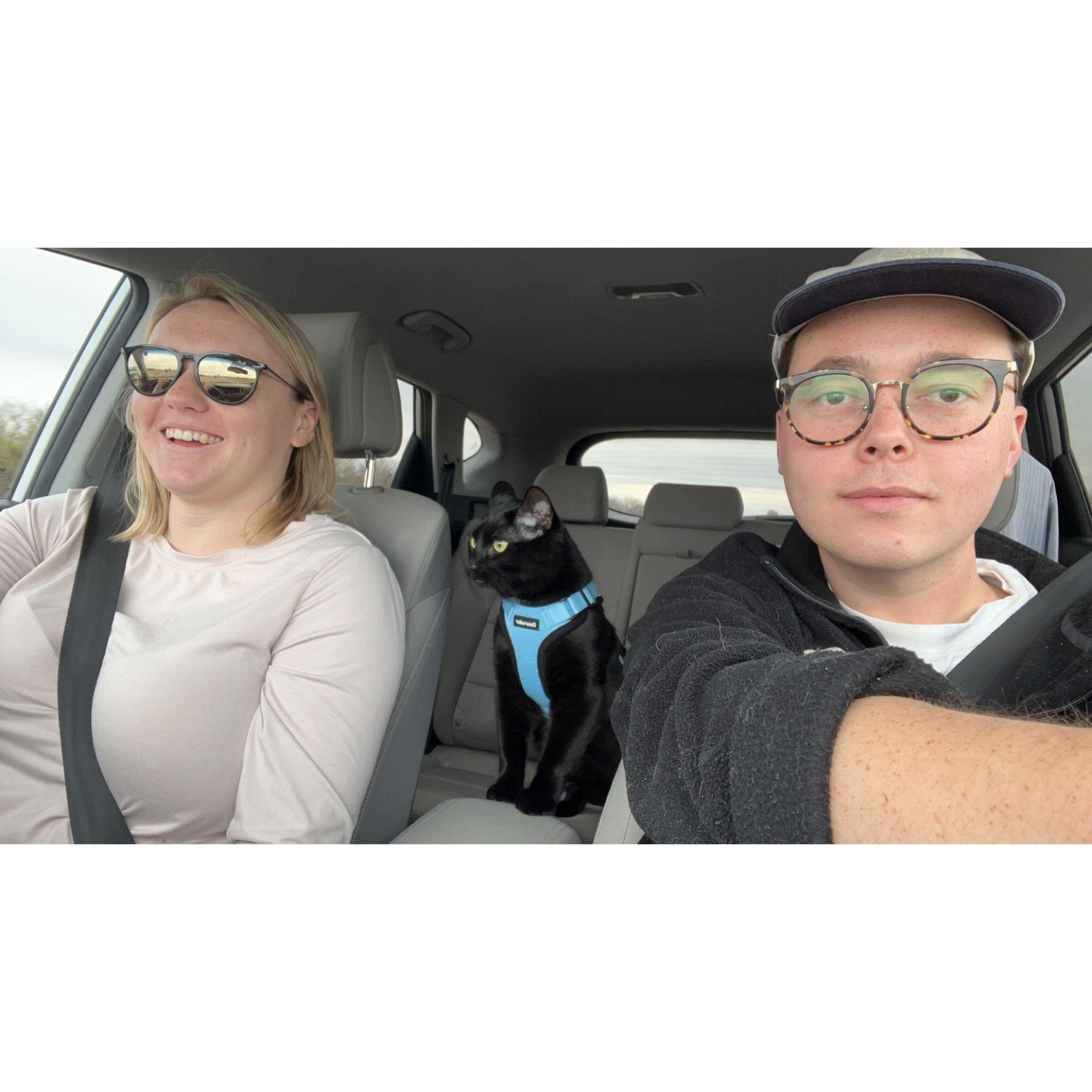 Teaching Chris cat to drive.