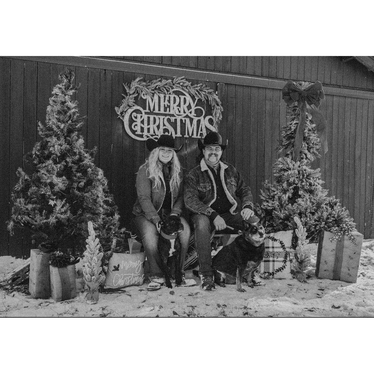 Christmas Card Photos