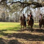 Trail Rides at Red Gate Farms
