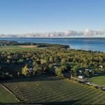 Heart & Hands Wine Company