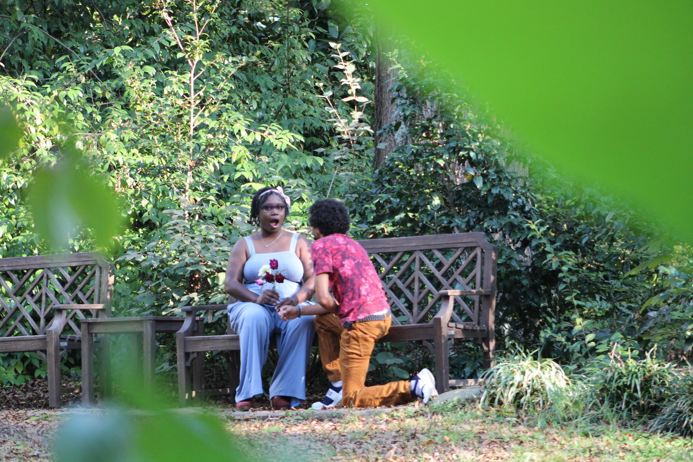 The Wedding Website of Anjane Jacobs and Alexander Galifianakis