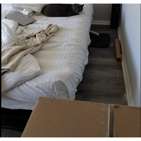 Apartment hunting (again) to chase Owen's dreams