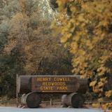 Henry Cowell Redwoods State Park