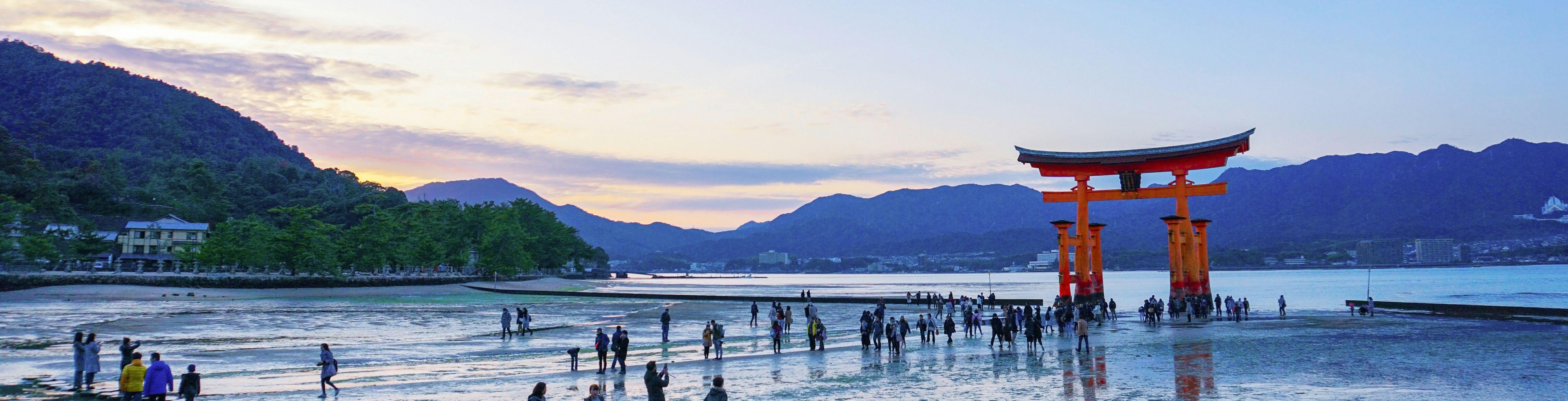 c5d68940-e7fa-4082-92cb-e49e65abc35f