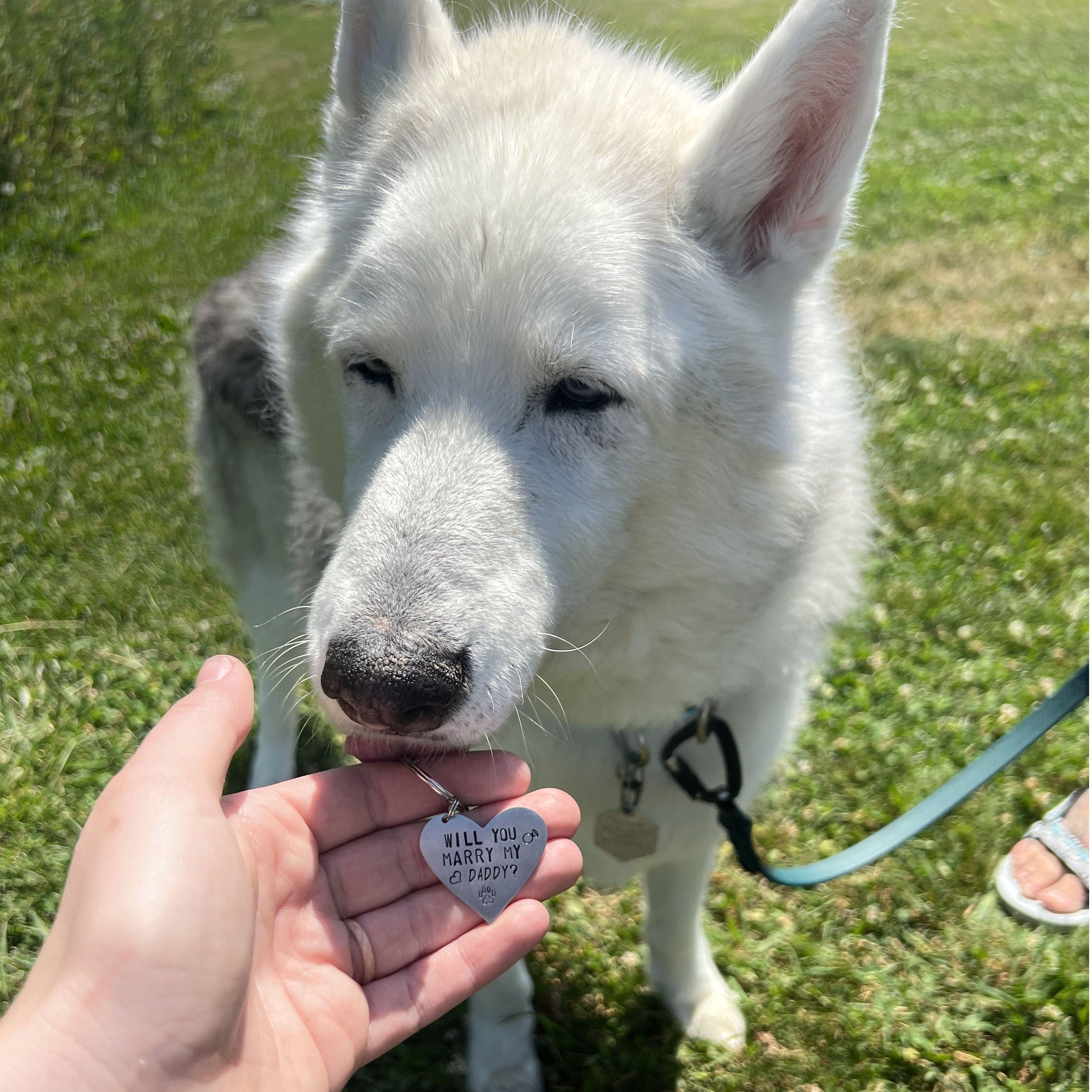 featuring our sweetest old man <3
