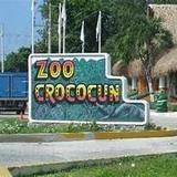 Croco Cun Zoo