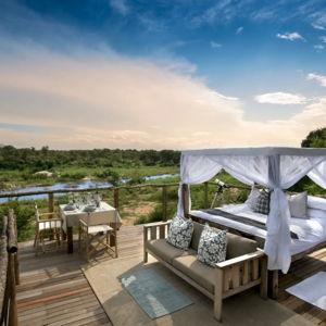 A Night in the Safari Treehouse