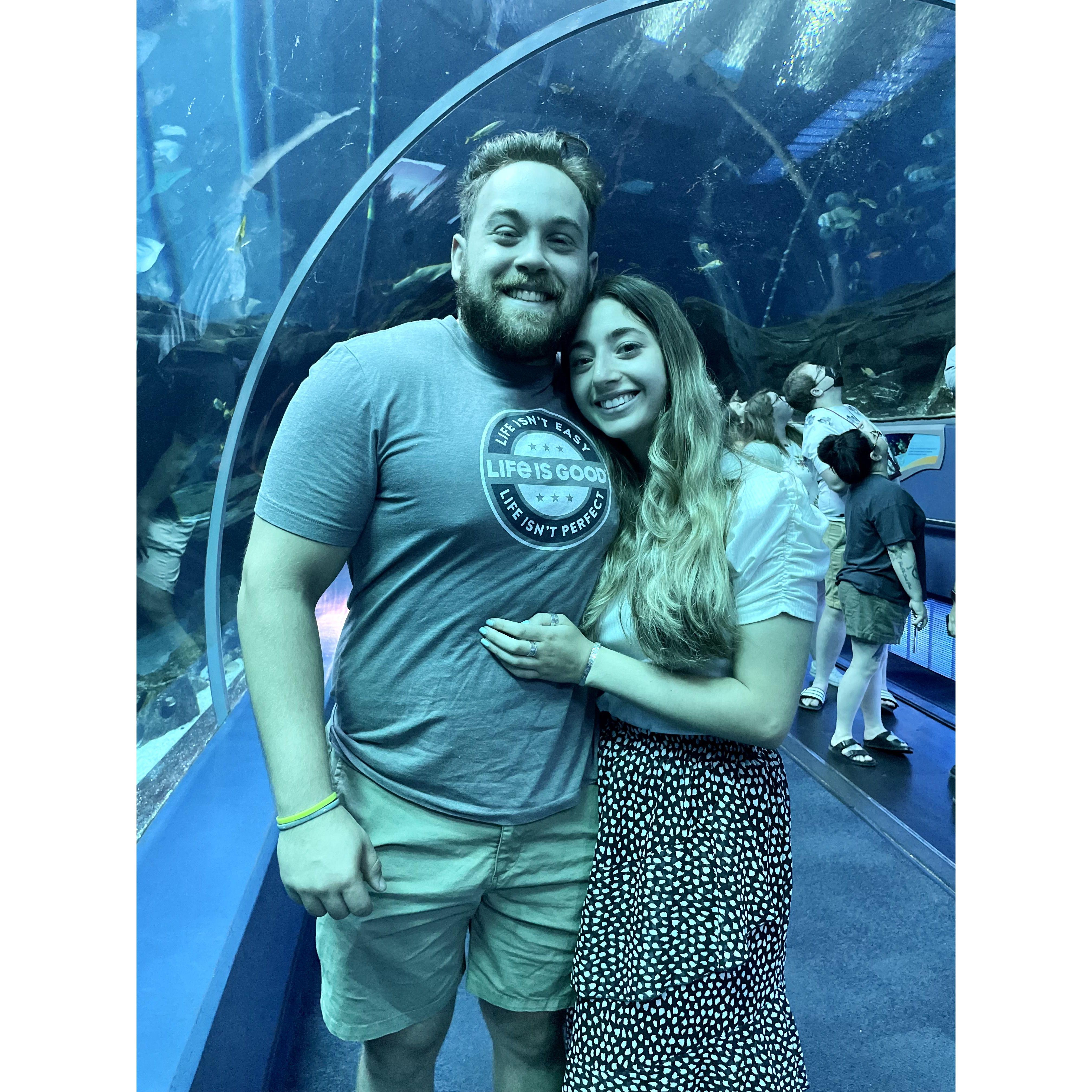 June 2022- Georgia Aquarium- finally got to see whale sharks in real life!!