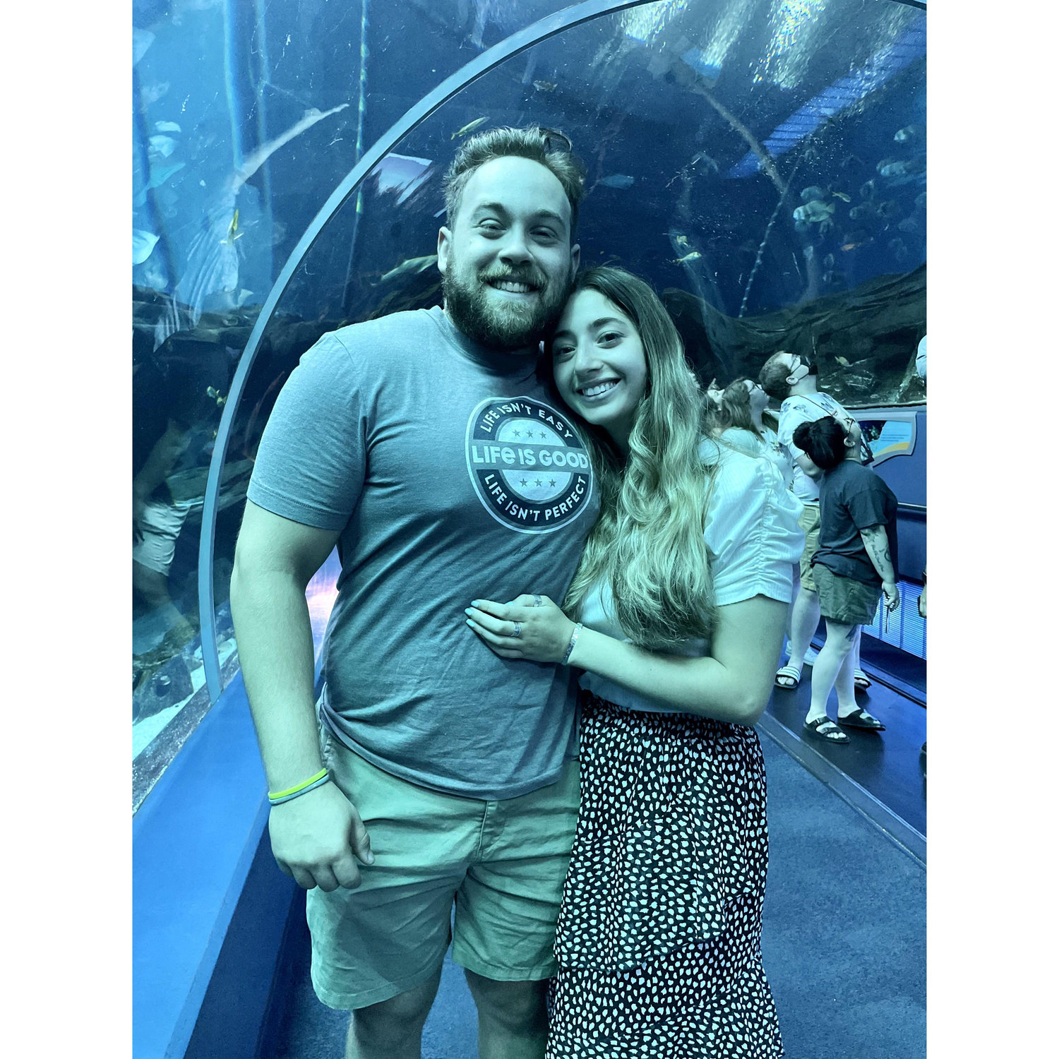 June 2022- Georgia Aquarium- finally got to see whale sharks in real life!!