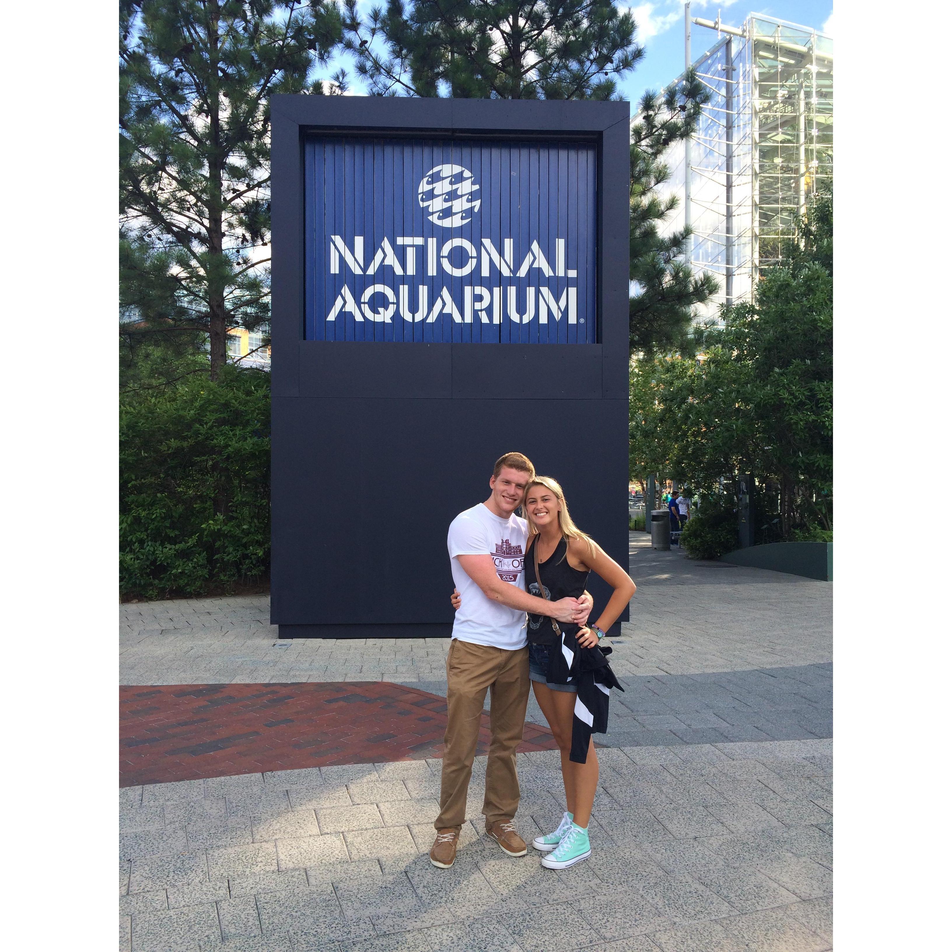 One of our very first dates: the National Aquarium! Little did we know that 4 years later (almost exactly to the day!) Joe would be on one knee proposing in this exact spot!