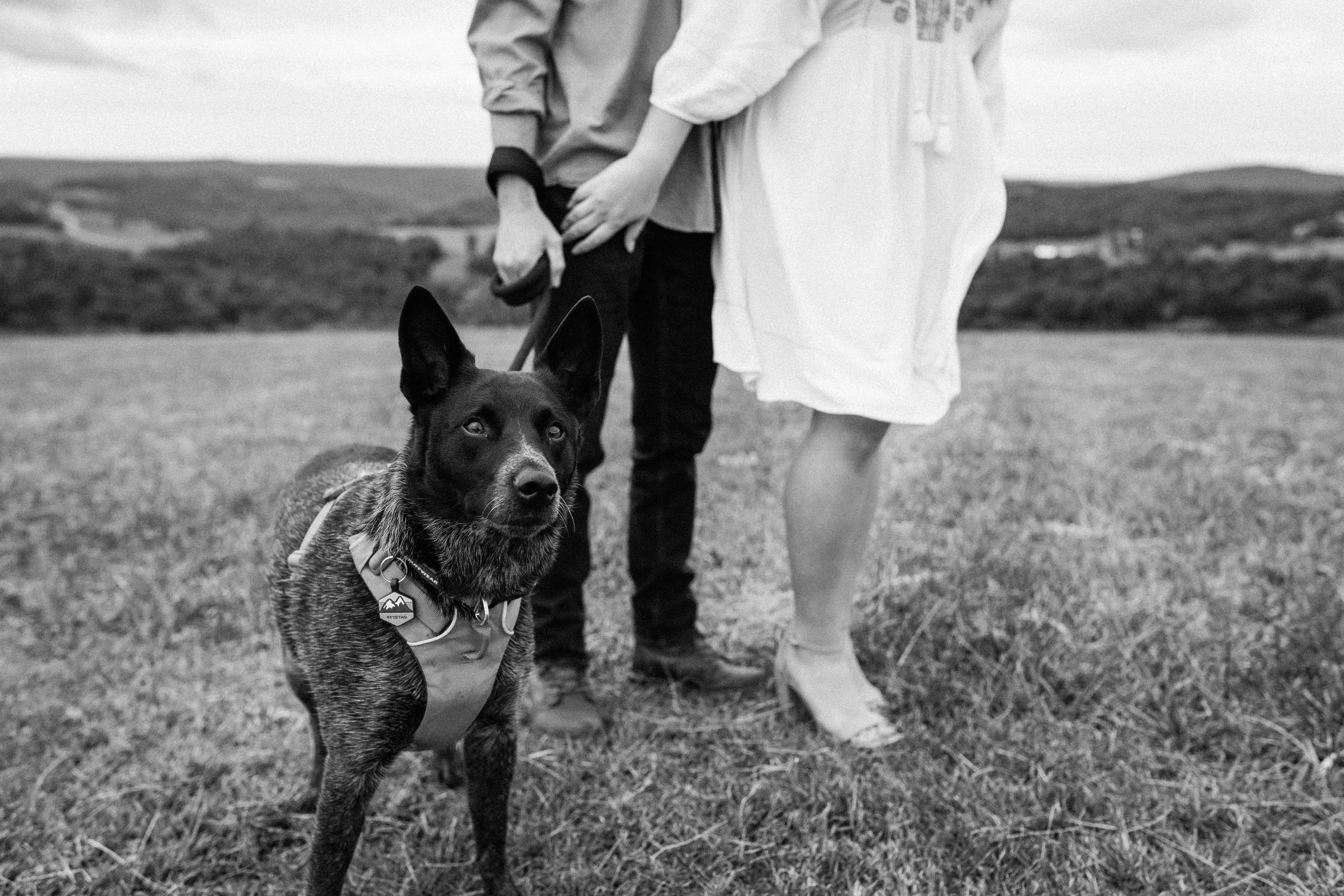 The Wedding Website of Avery Rotenberry and Austin Thomas