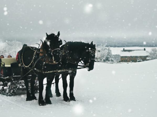 The Wedding Website of Thomas Keller and Mckenzie Pretak