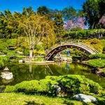 The Huntington Library, Art Collections, and Botanical Gardens