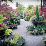 High-Hand Nursery, Cafe & Brewery