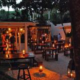 Hartwood
