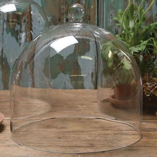 Glass Dome