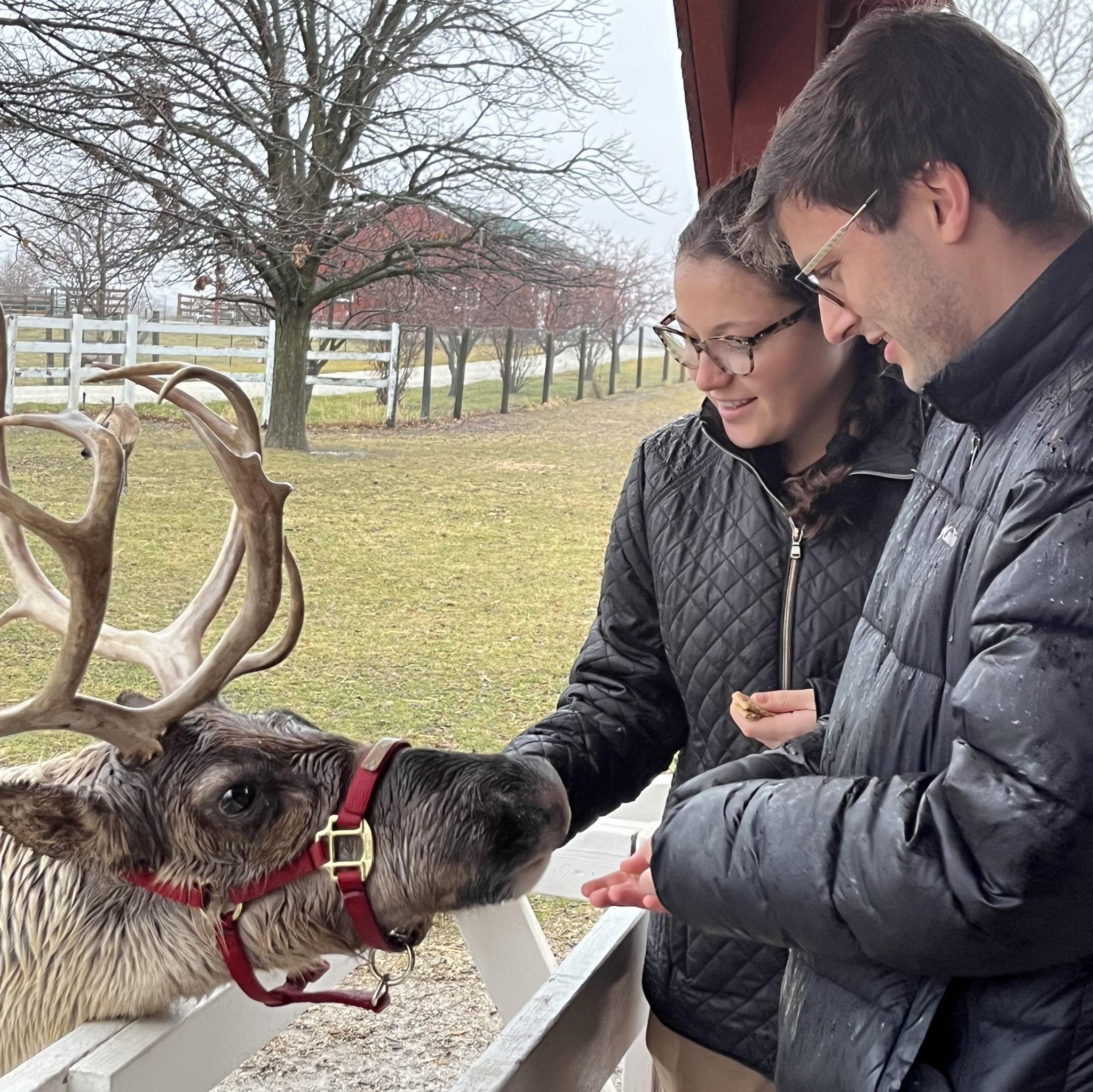 Hardy's Reindeer Ranch. Rantoul, IL. 2023