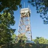 Delilah Lookout