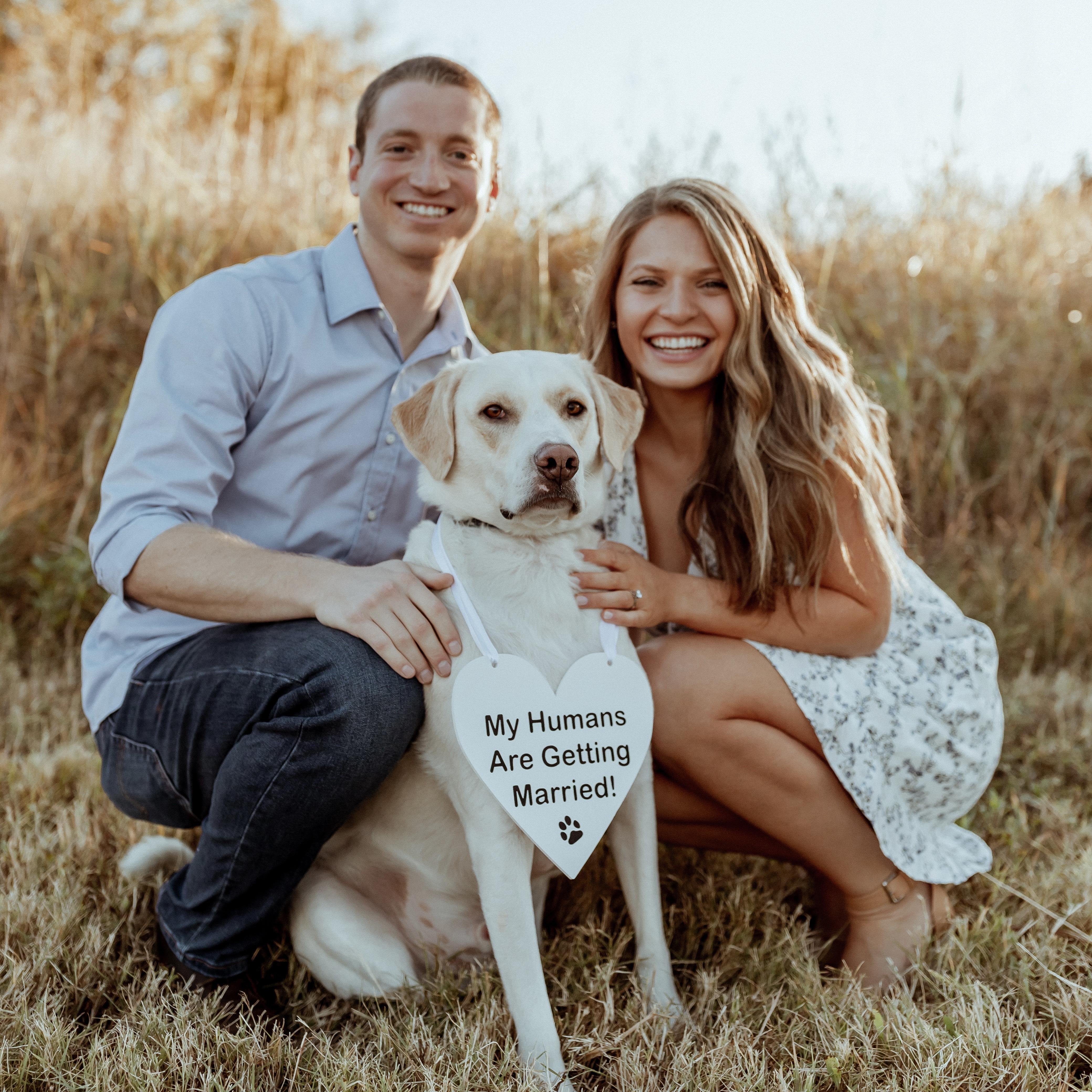Our "Dog of Honor"

October 24, 2020