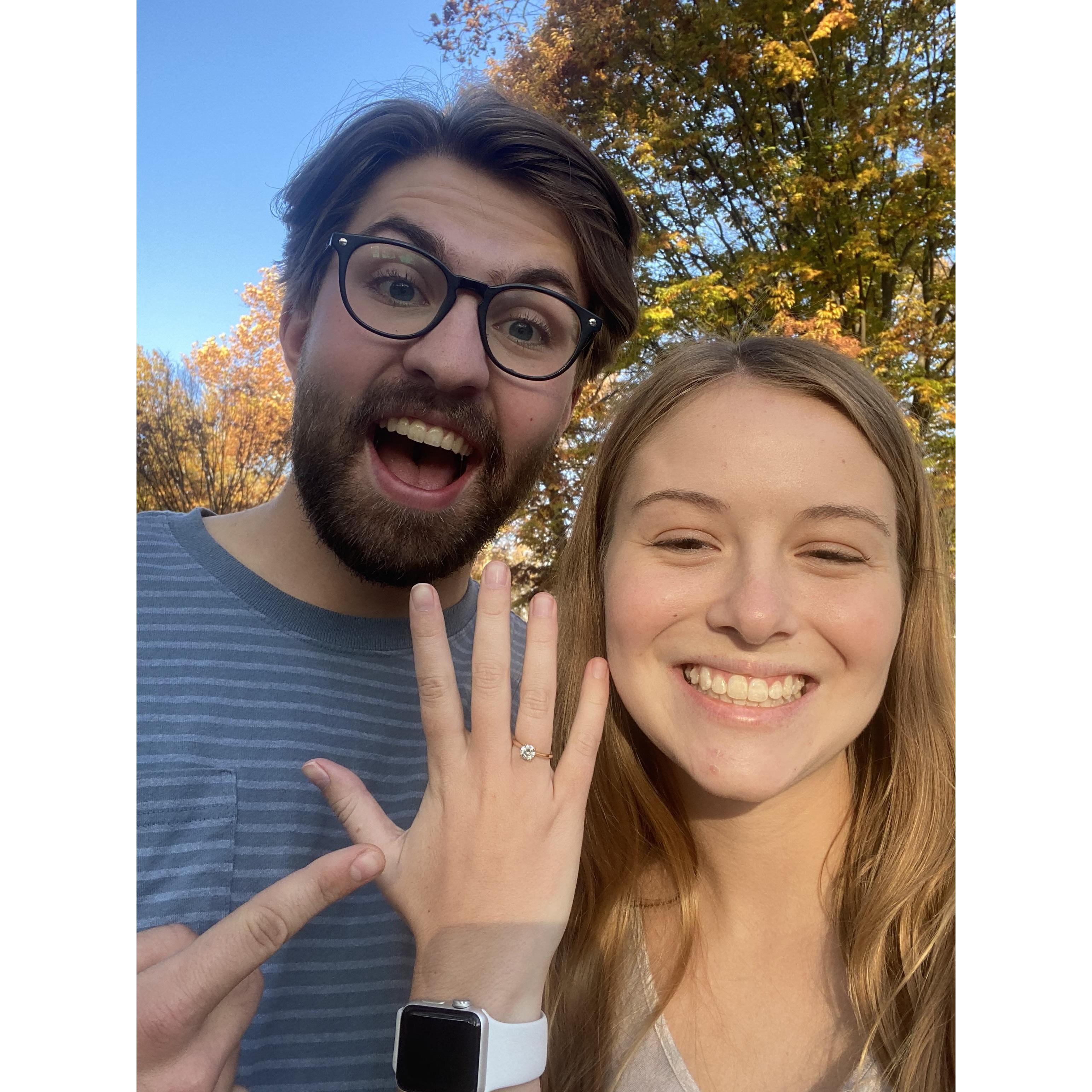 Some good things happened in 2020!