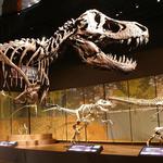 Tellus Science Museum