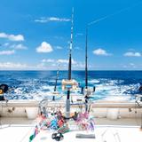Fishing & Offshore Excursions