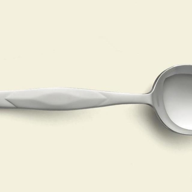 Stainless Serving Spoon