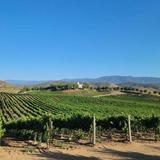 Temecula Wineries