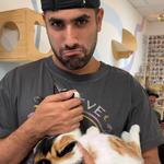 Save the Meow Meows Cat Lounge