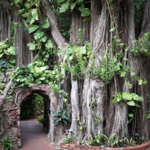 West Martello Tower and Key West Garden Club