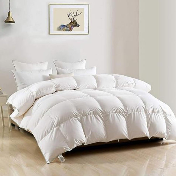100% Cotton White Duvet Insert, All Season Ultra Soft Hotel Collection Oversized Queen Size 98 x 98 Inch