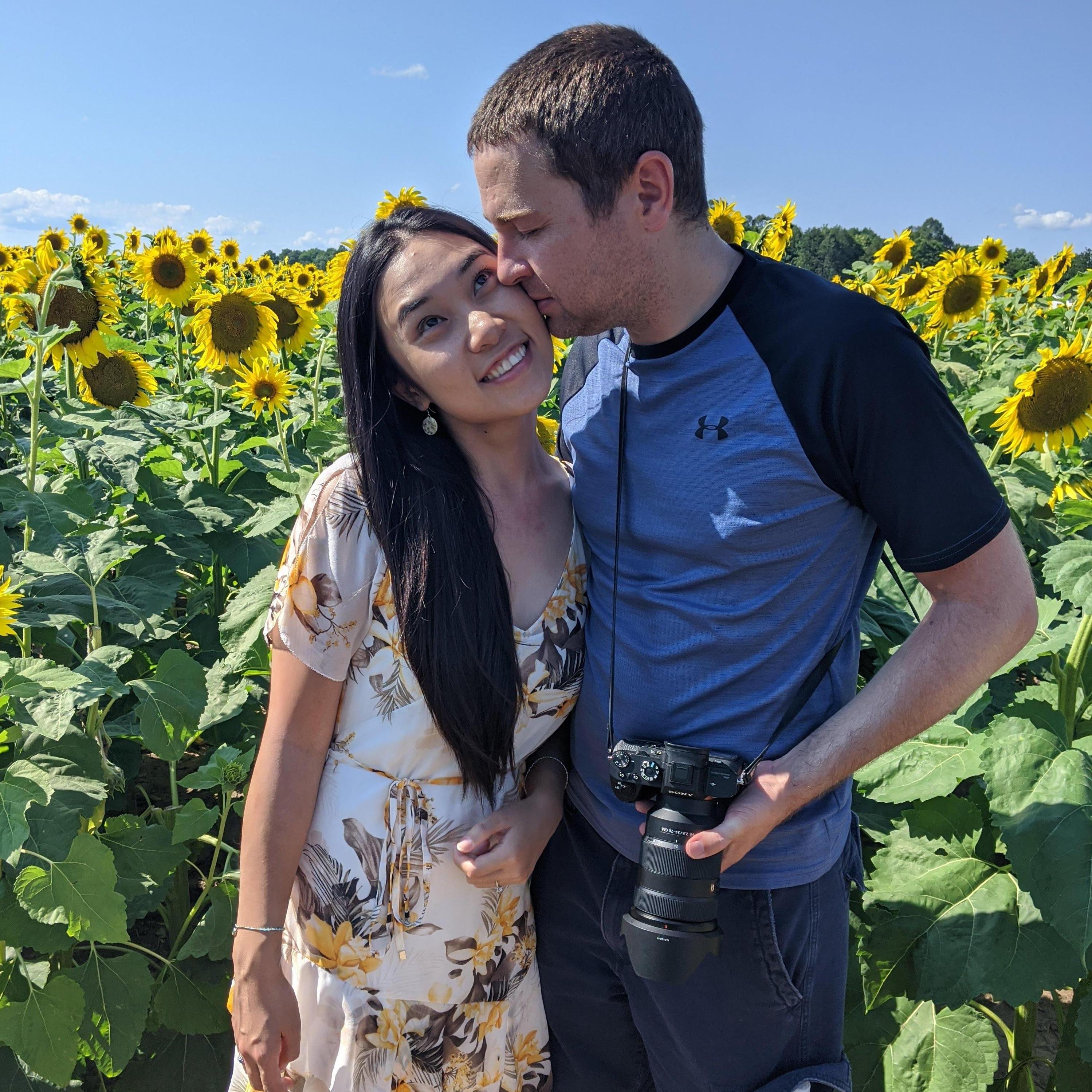 Sunflower field
