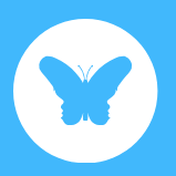Butterfly Pavilion