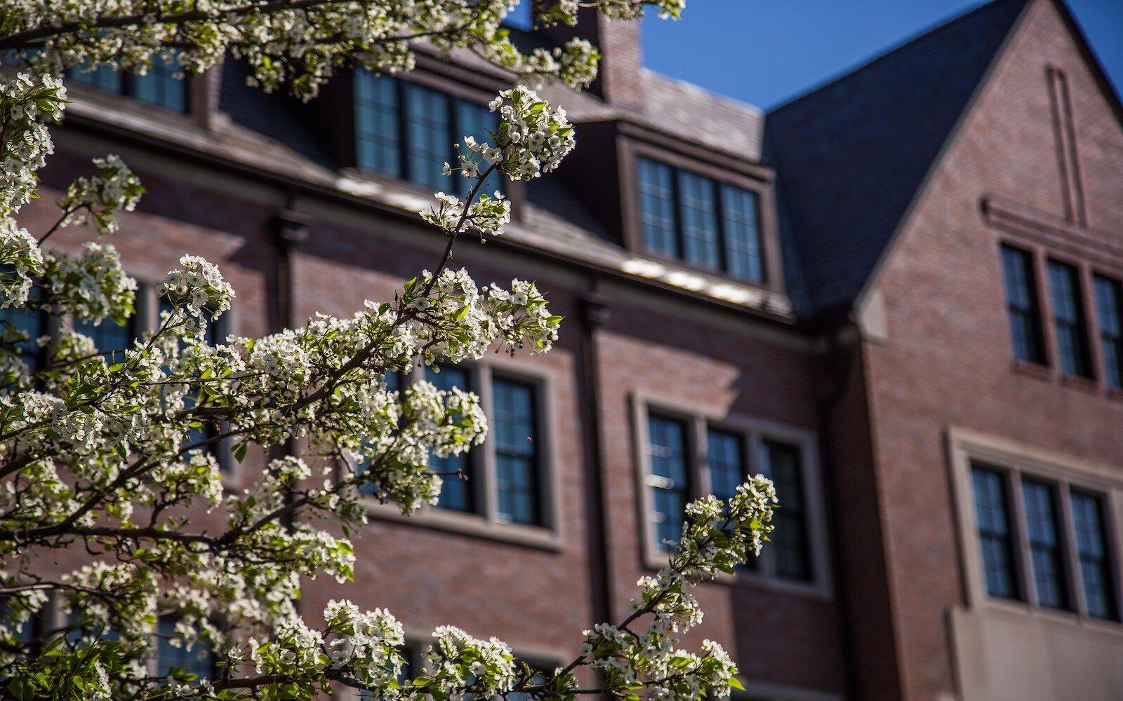 The Wedding Website of Andrew Gomez and Kathryn Cesiel