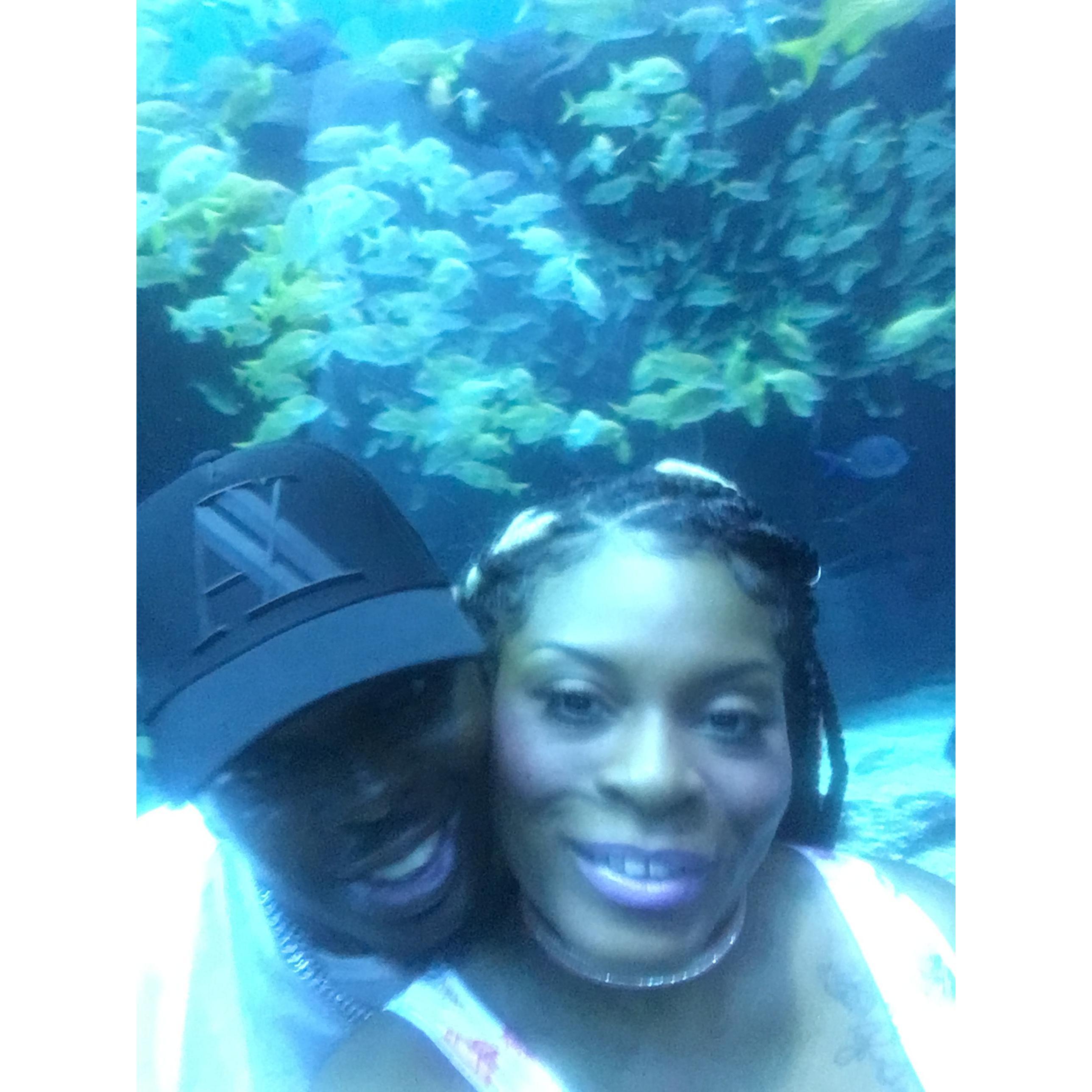 Our first date at the Georgia Aquarium! Swimming with the sharks!