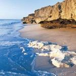 The Nature Conservancy Blowing Rocks Preserve