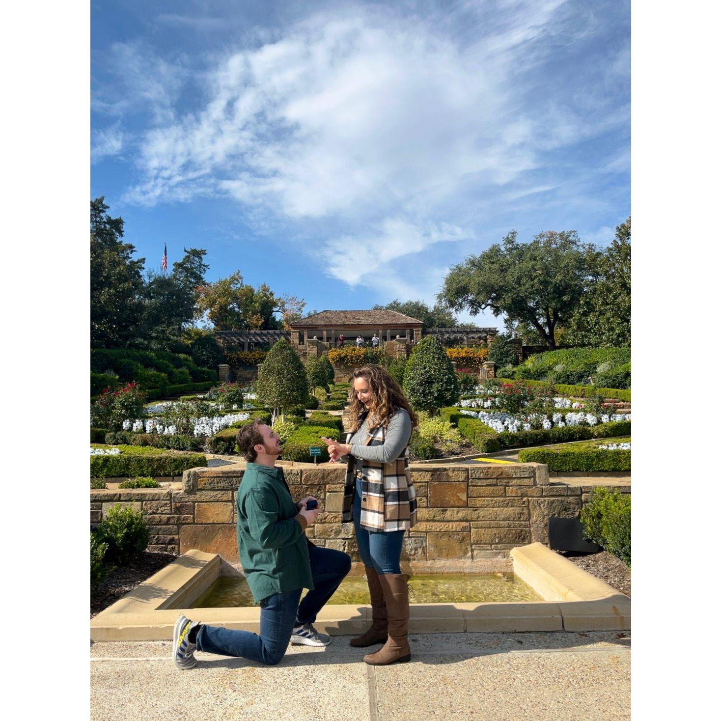 The beginning of forever - 11/18/2023