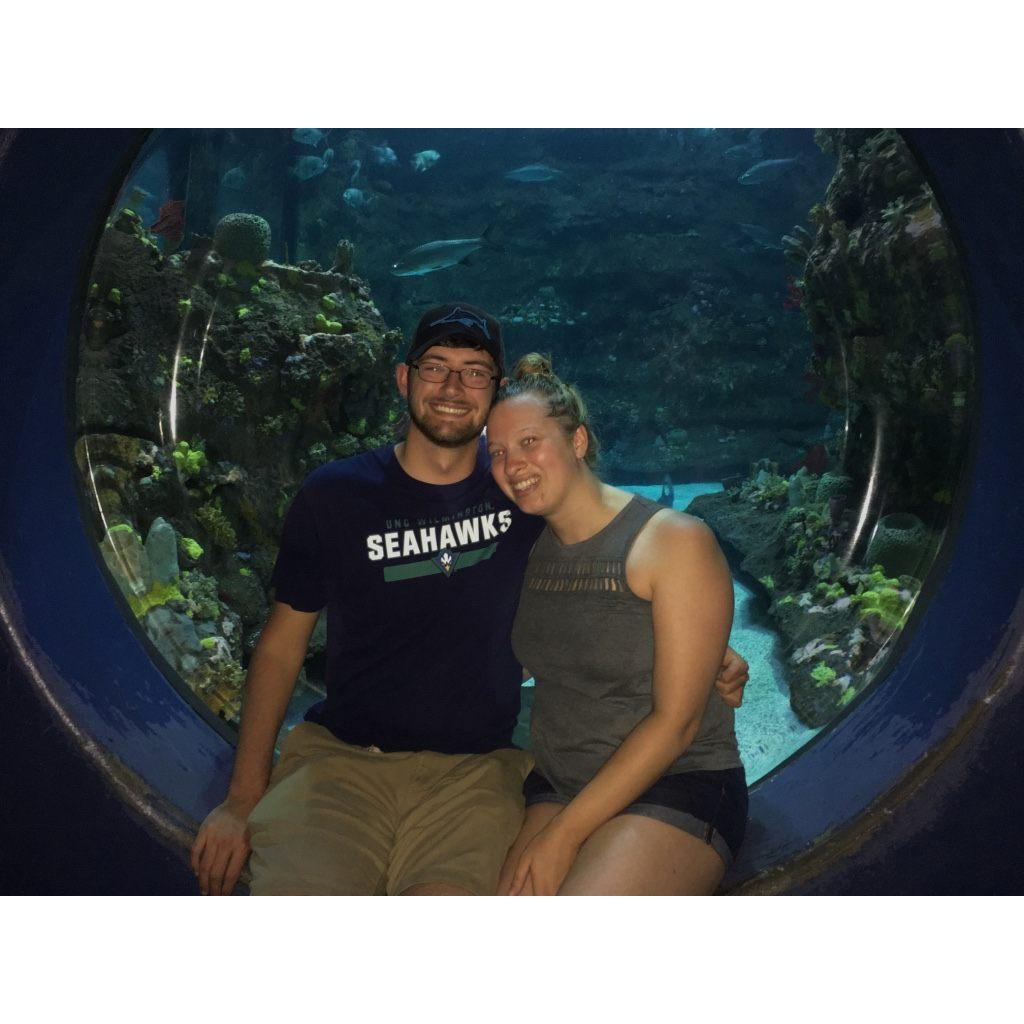 2018 - NC Aquarium at Fort Fisher