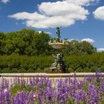 Rose Gardens in Lyndale Park
