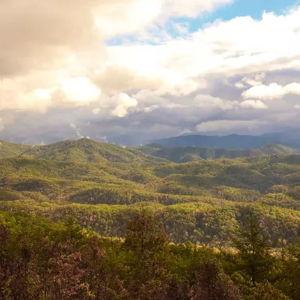 Blackberry Farm Guided Hike