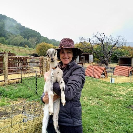 Baby goats! Yay!