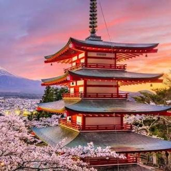Honeymoon to Japan