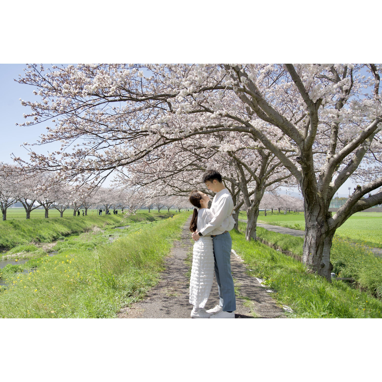 Proposal