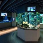 Øresund Aquarium