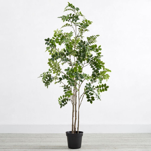 Faux Potted Green Leaf Tree, 6'H