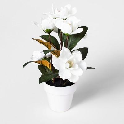 Artificial Magnolia Arrangement In Pot Green/White - Threshold™