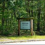 Wrentham State Forest