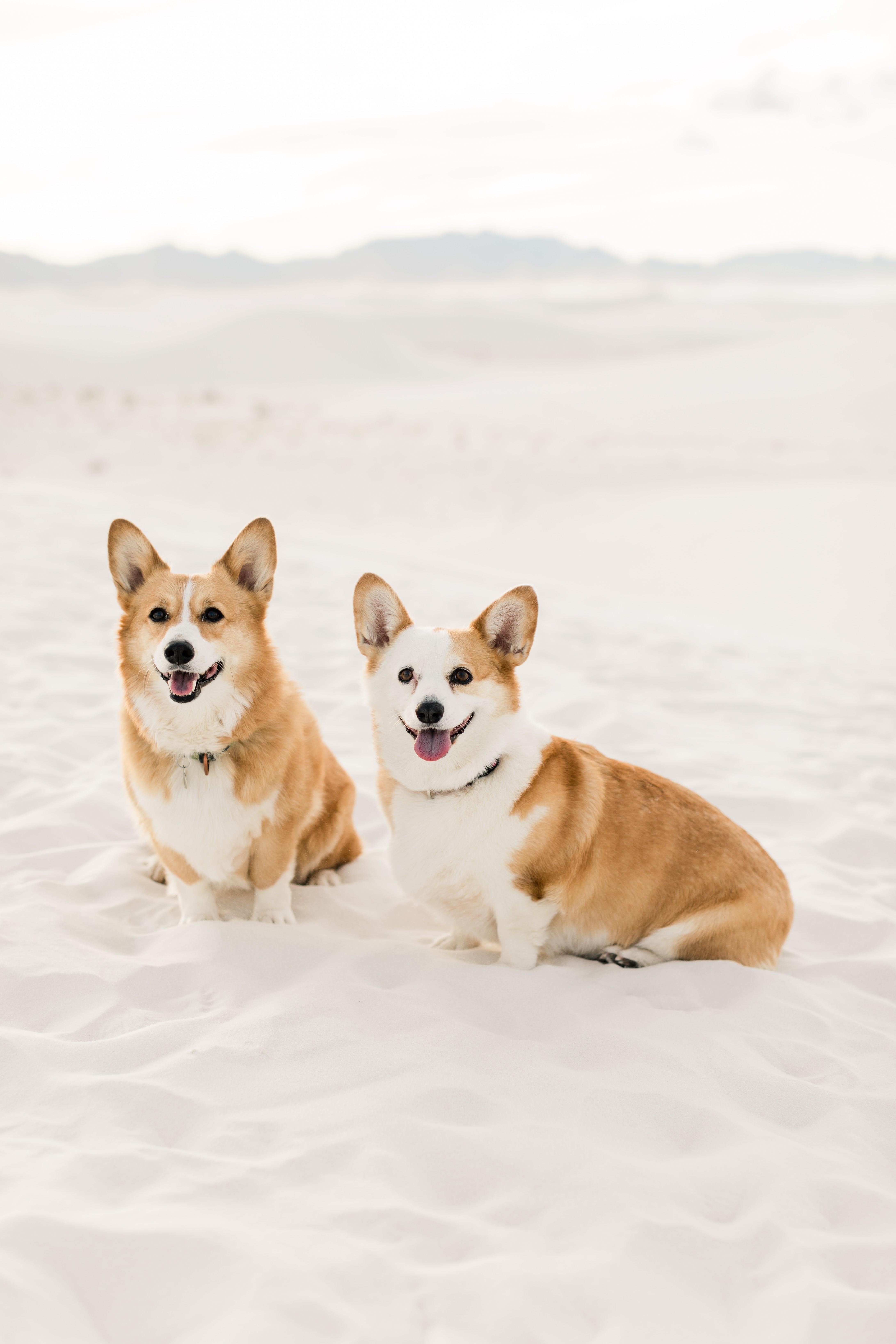 The Wedding Website of Nikki Chilson and Joseph Mendoza