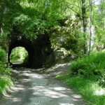 Sehome Hill Arboretum